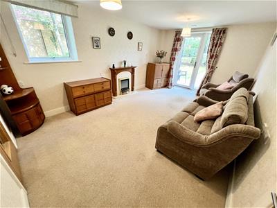 Picture 5